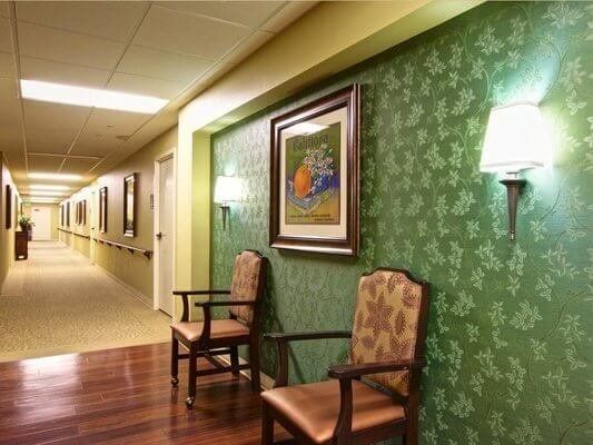 The Grove Care And Wellness 5