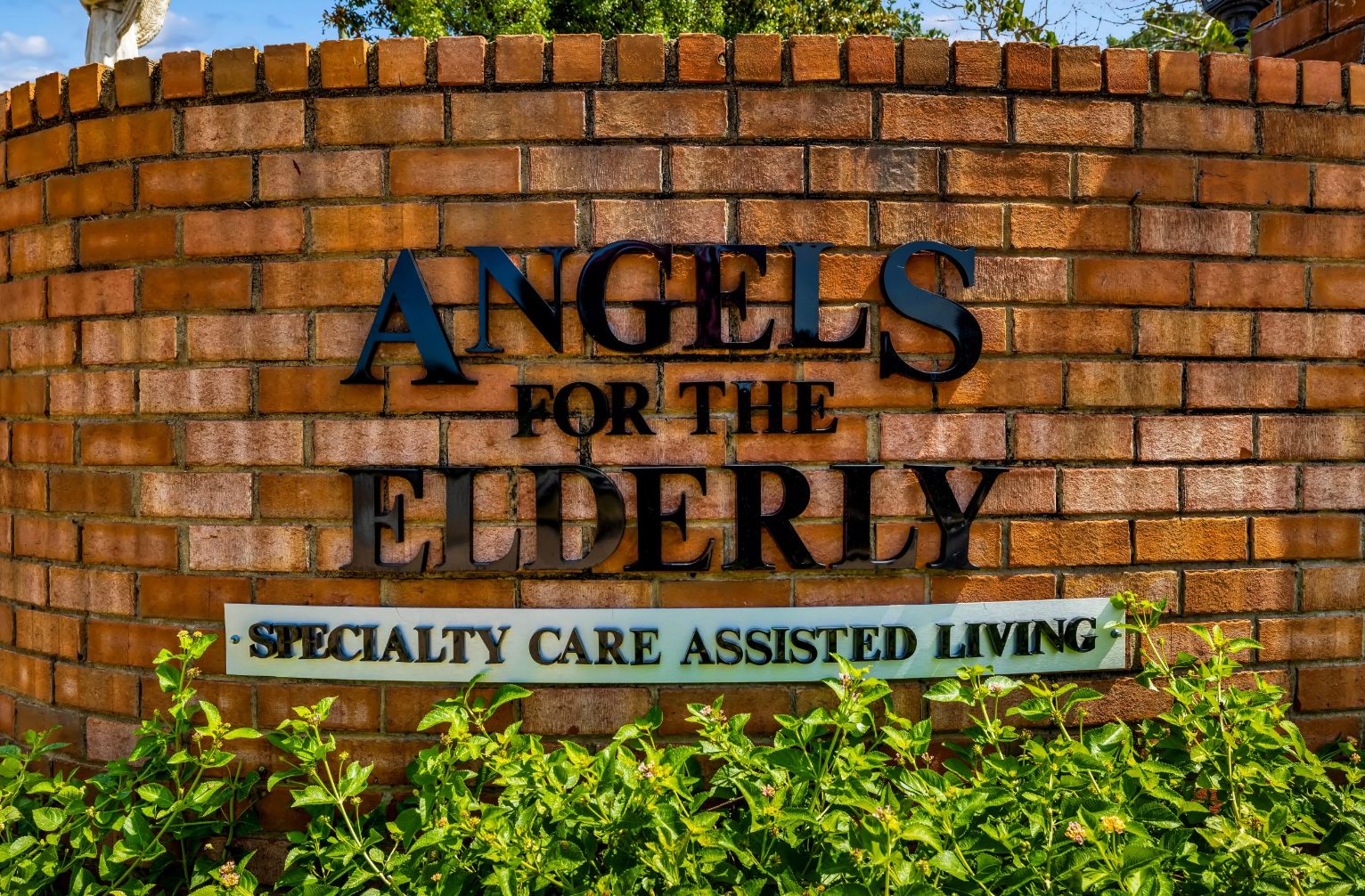 Angels for the Elderly (CLOSED) 4