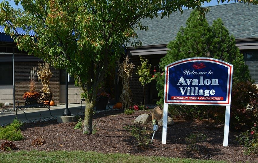Avalon Village 5
