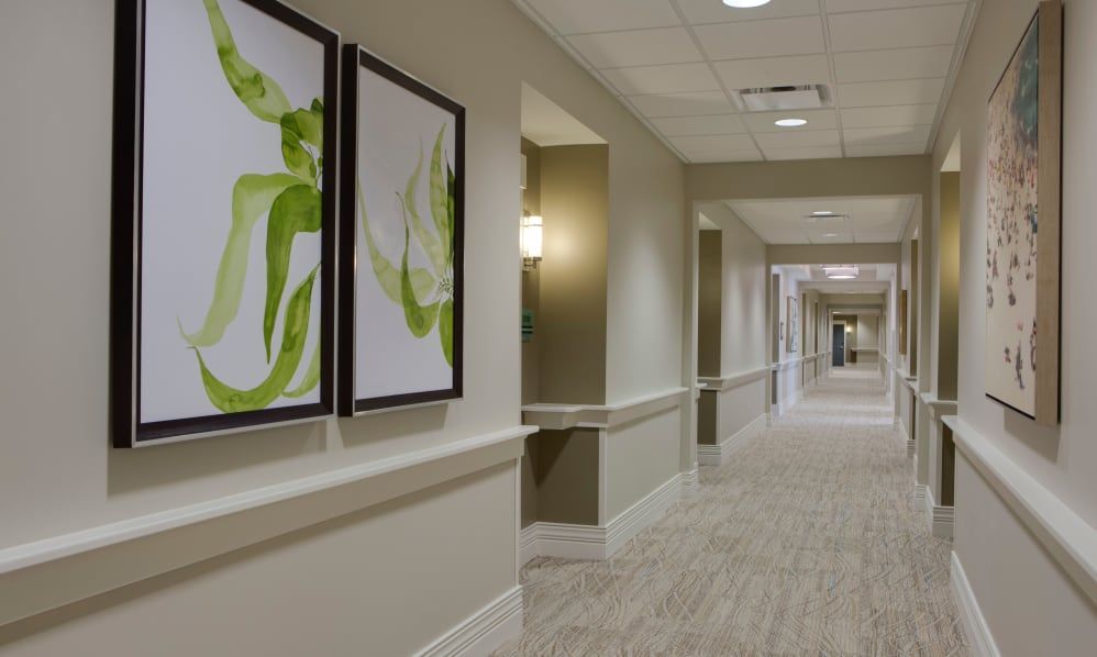 Indoor hallway of Beach House at Wiregrass Ranch senior living community, featuring art, lamps, and modern architecture.