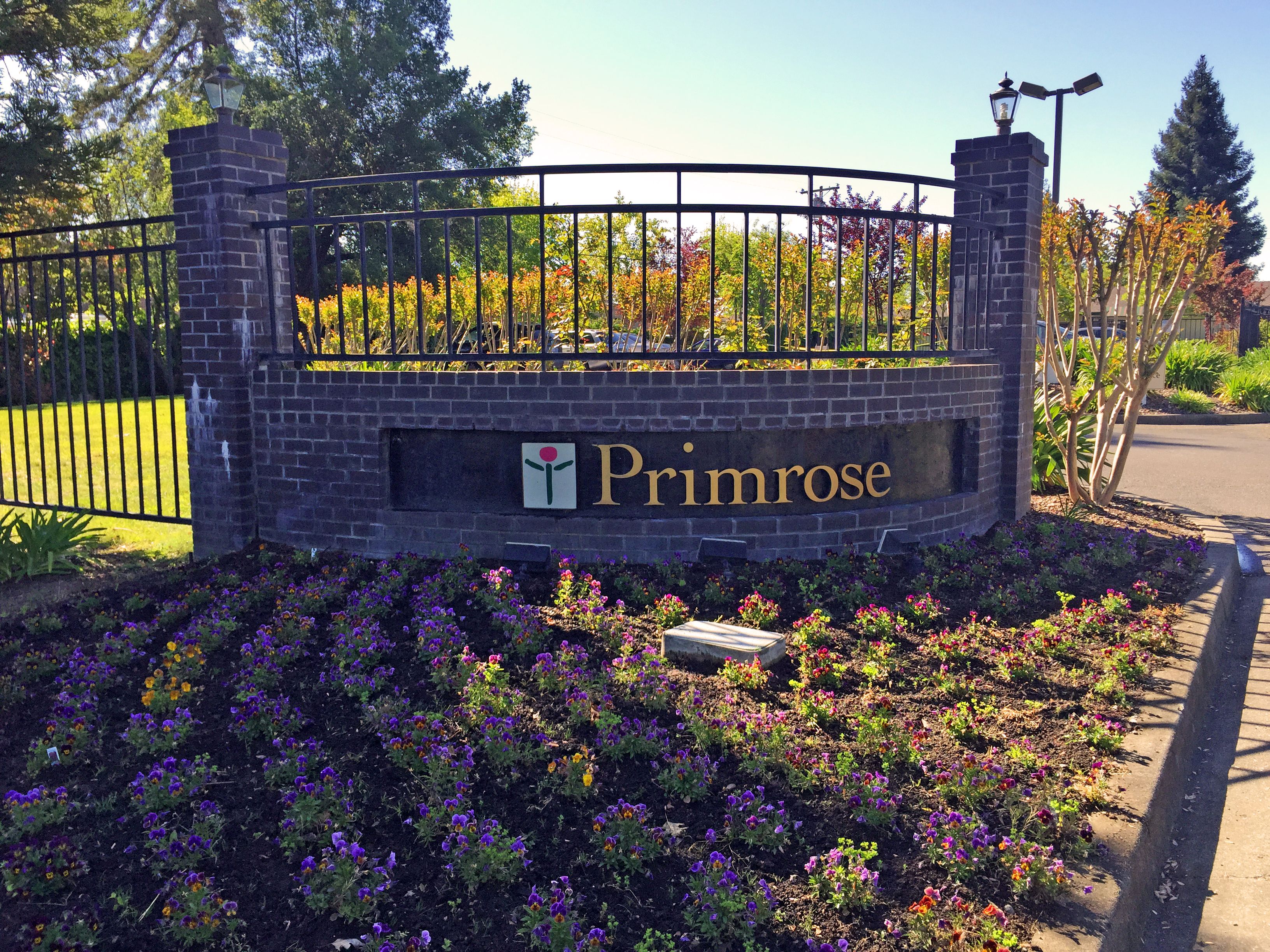 Primrose Alzheimer's Living 2
