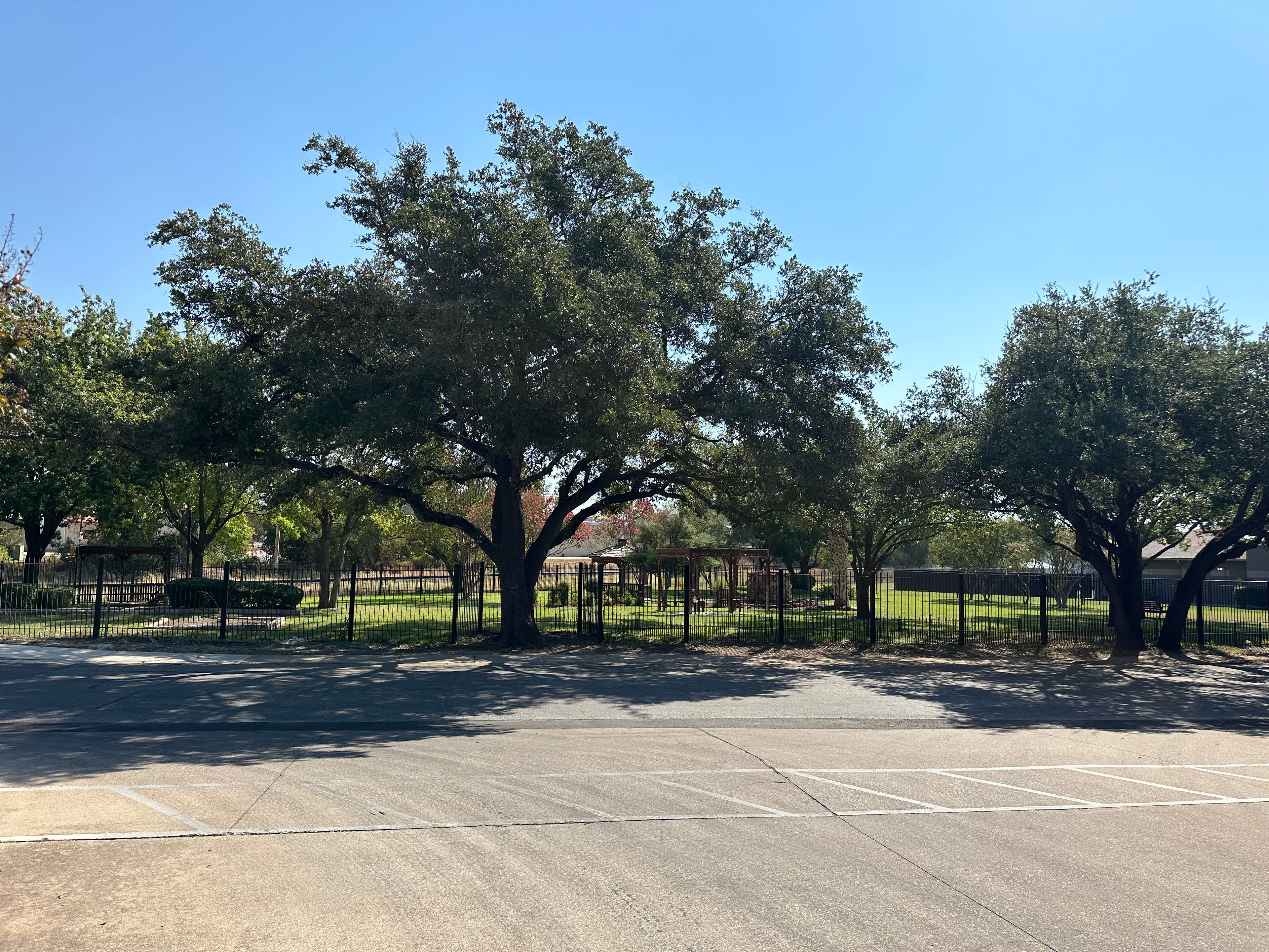 Asher Point Independent Living of Round Rock 5