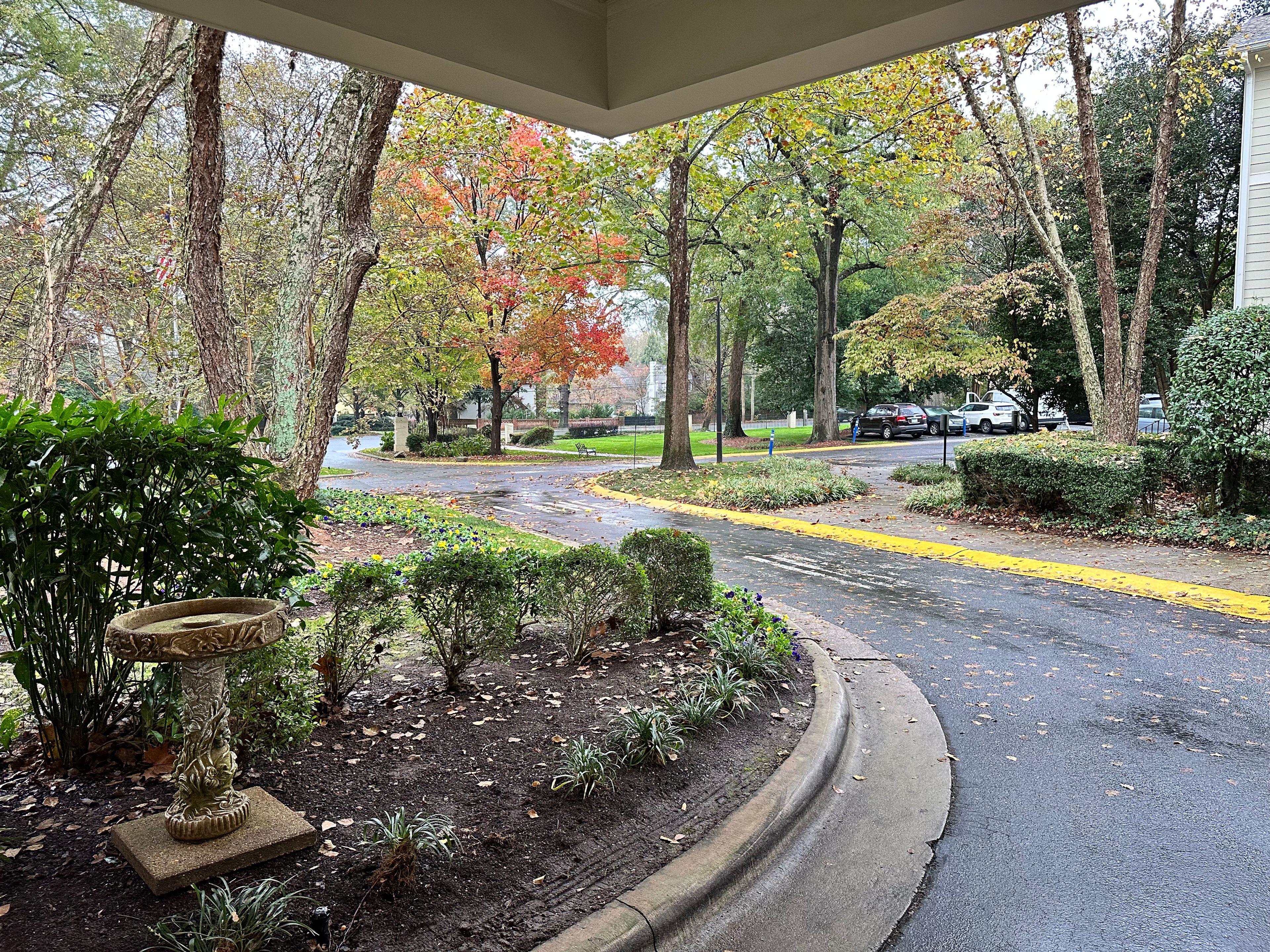 MerryWood On Park 4