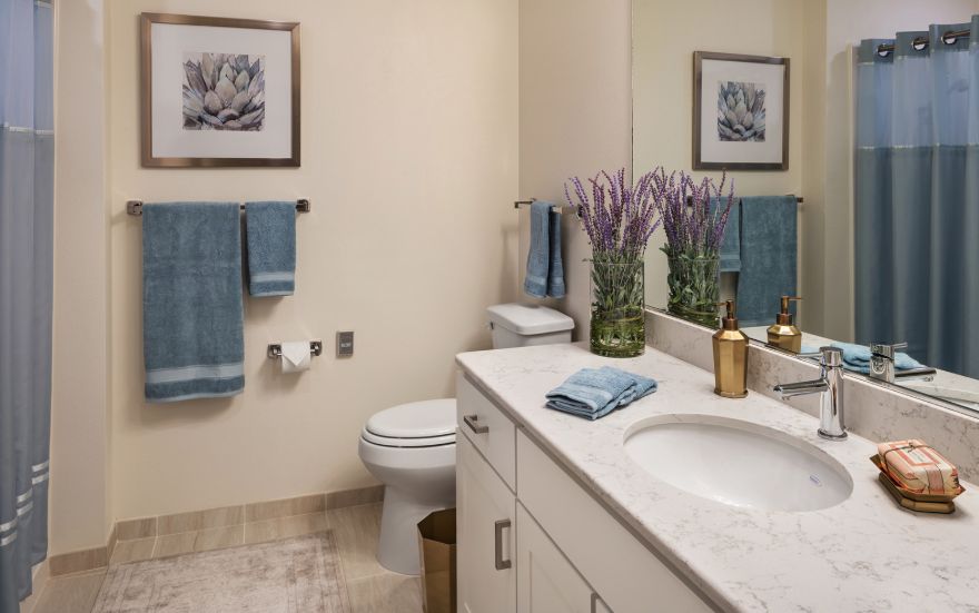 Senior living bathroom with sink, faucet, toilet, and indoor plants at The Village at The Triangle.