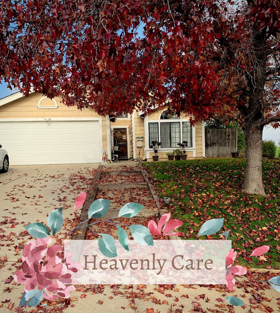 Senior living community with lush vegetation, houses, and cars in a city setting, Heavenly Care.