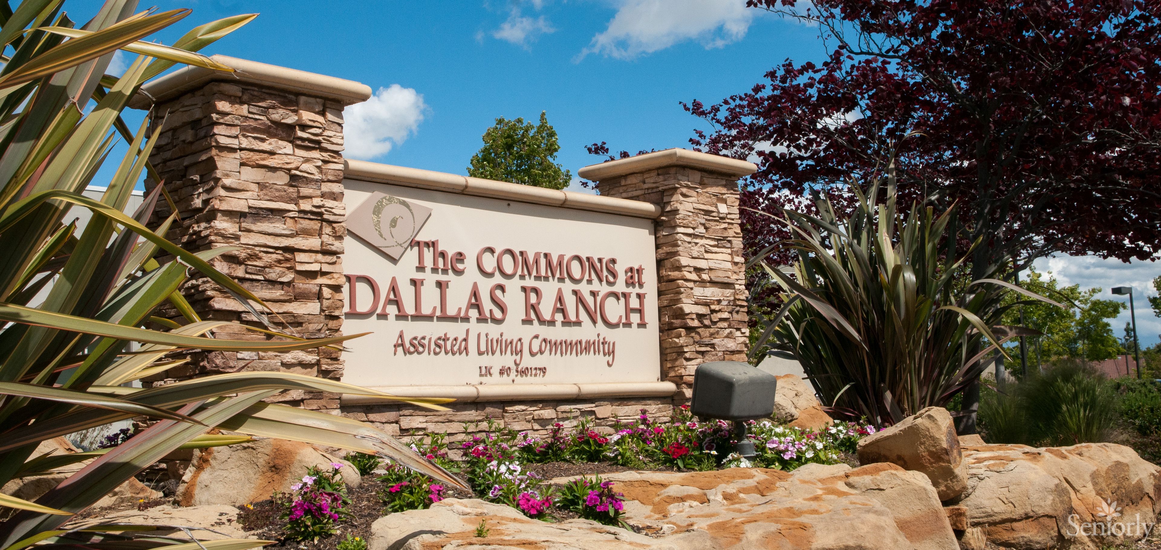 The Commons At Dallas Ranch 1