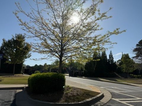 Larkspur, Alpharetta, GA 3