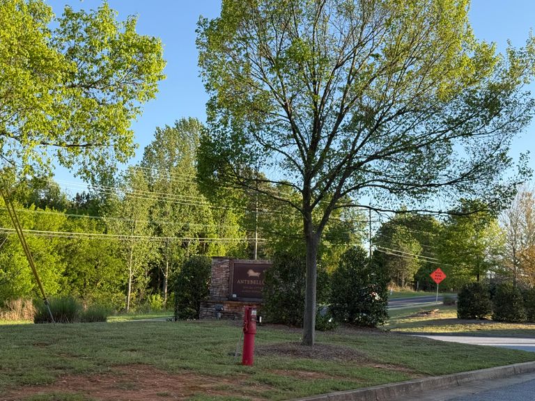 Antebellum James Burgess Senior Living, Suwanee, GA 2