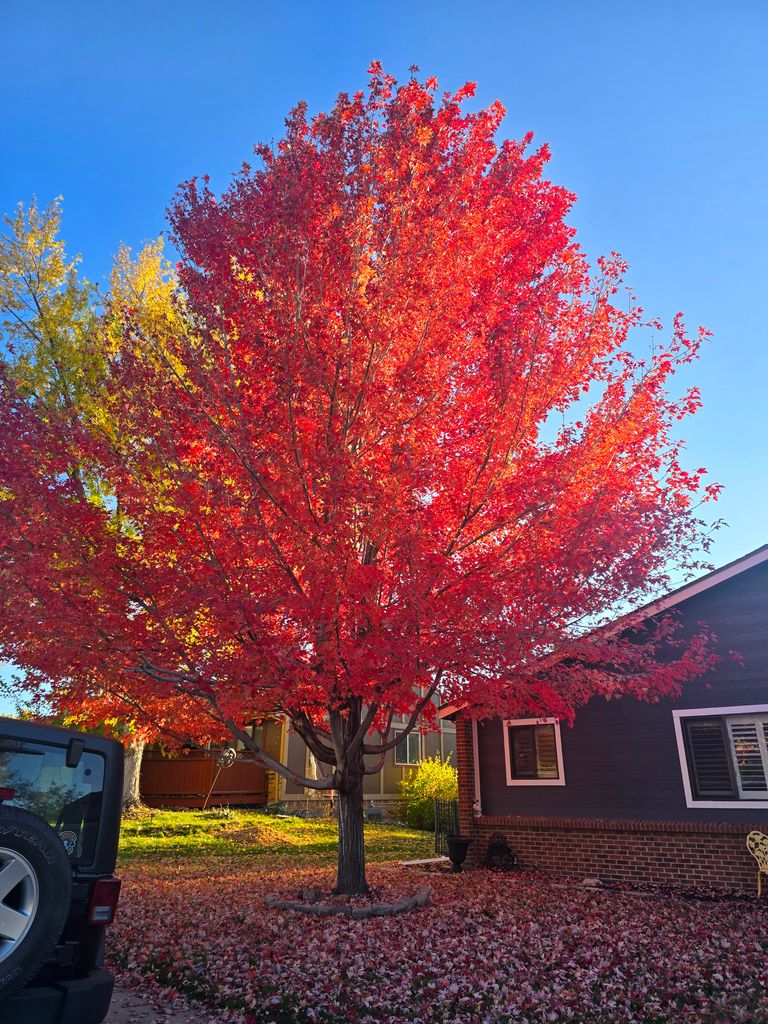 Valley House Assisted Living, Castle Rock, CO 3