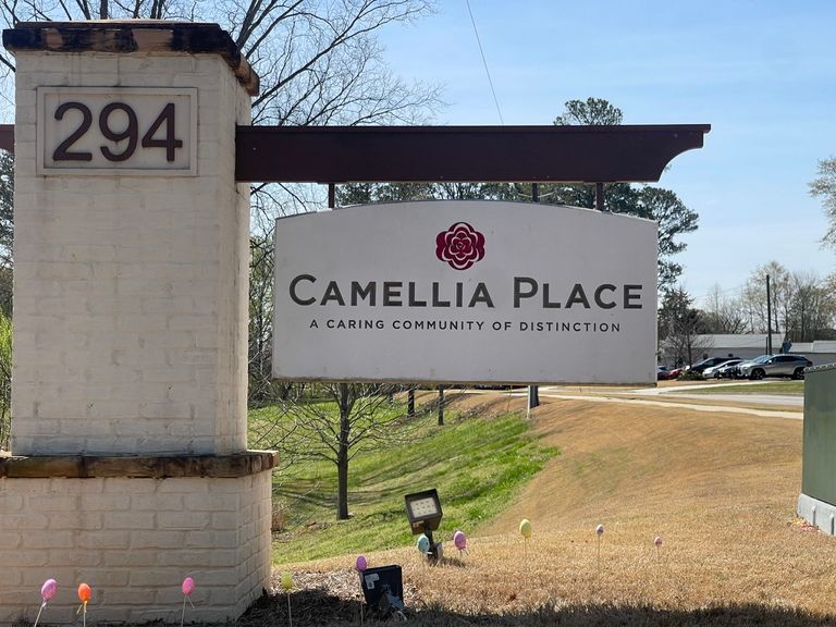 Camellia Place, Woodstock, GA 1