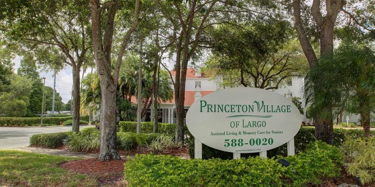 Princeton Village Of Largo, Largo, FL 3