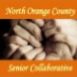 14 Helpful Orange County Caregiver Resources