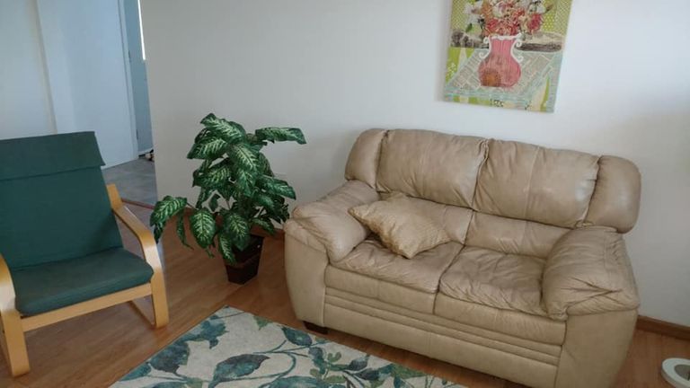 Plant, furniture, and home decor in a cozy living room at MacGregor House senior living community.