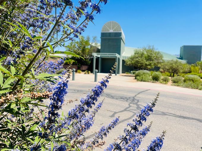 Fiesta Park Rehab, Albuquerque, NM 2