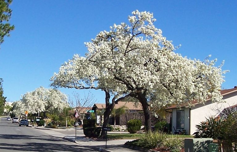 Pebble Brook Senior Home Care, Temecula, CA 3