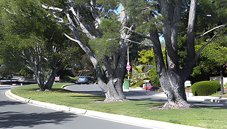 Pebble Brook Senior Home Care, Temecula, CA 2