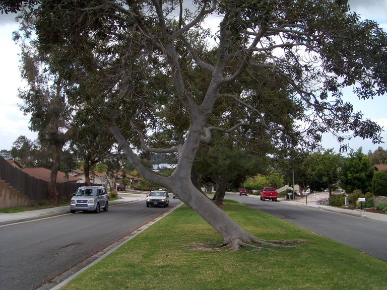 Pebble Brook Senior Home Care, Temecula, CA 1