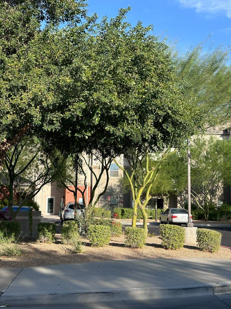 Arrowhead Valley Retirement Resort, Peoria, AZ 2