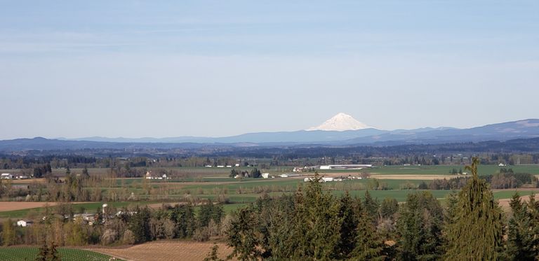 Mount Angel Towers, Mount Angel, OR 3