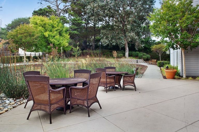 Ivy Park at Belmont (UPDATED) Get Pricing & See 32 Photos in Belmont, CA