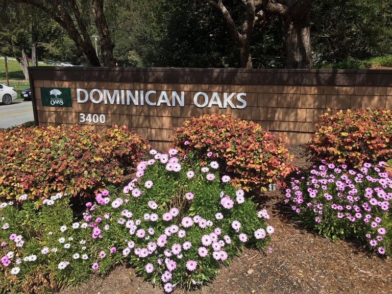 Dominican Oaks, Santa Cruz, CA 1