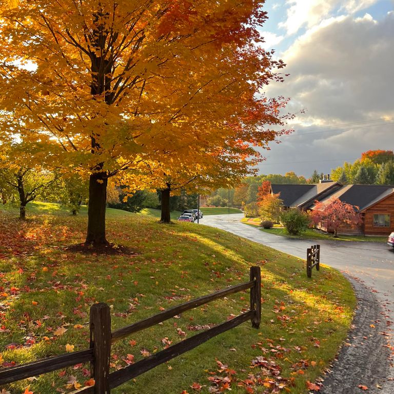 The Homesteader, Benzonia, MI 1