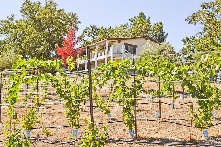 retirement homes sunnyvale ca