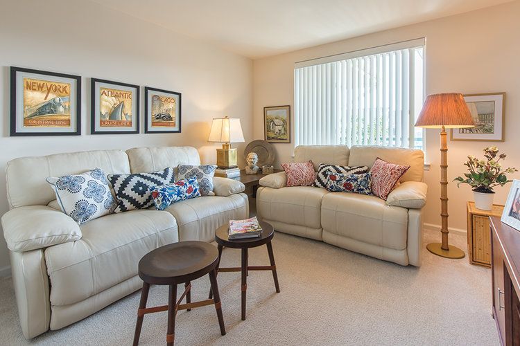 Updated ANN'S CHOICE 2020 Details Seniorly