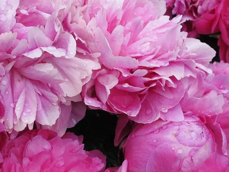 Canterbury On The Lake Pricing, Photos and Floor Plans in Waterford