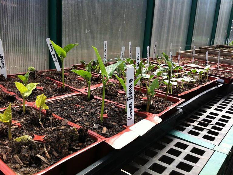 Gordon Manor Pricing, Photos and Floor Plans in Redwood City, CA