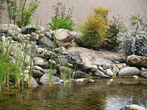 Cedar Creek Senior Living - Pricing, Photos and Floor Plans in Madera