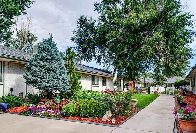 Cedars Healthcare Center Pricing, Photos and Floor Plans in Lakewood