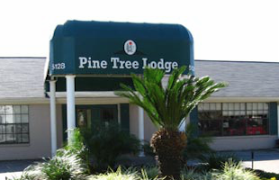 Updated Pine Tree Assisted Living 2020 Details Seniorly